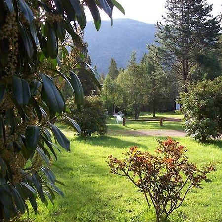 Cabanas Auquin Lemu Lago Puelo Kültér fotó