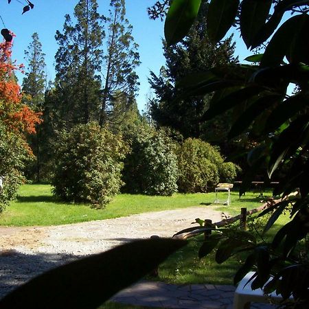 Cabanas Auquin Lemu Lago Puelo Kültér fotó